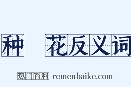 种橦花反义词是什么意思的图片